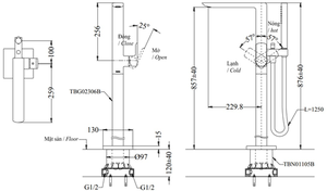 Vòi xả bồn đặt sàn TOTO TBG02306B/TBN01105B kèm sen tắm