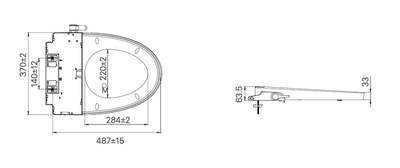 Nắp rửa cơ INAX CW-S32VN